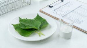 Mulberry leaf extract DNJ powder with COA document