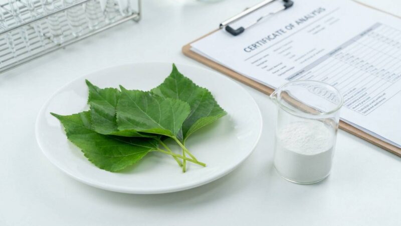 Mulberry leaf extract DNJ powder with COA document