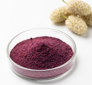 Mulberry Fruit Extract 10:1 (Anthocyanin-Rich)
