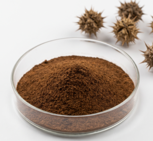 Tribulus Terrestris Extract (Saponins 40%~90%)