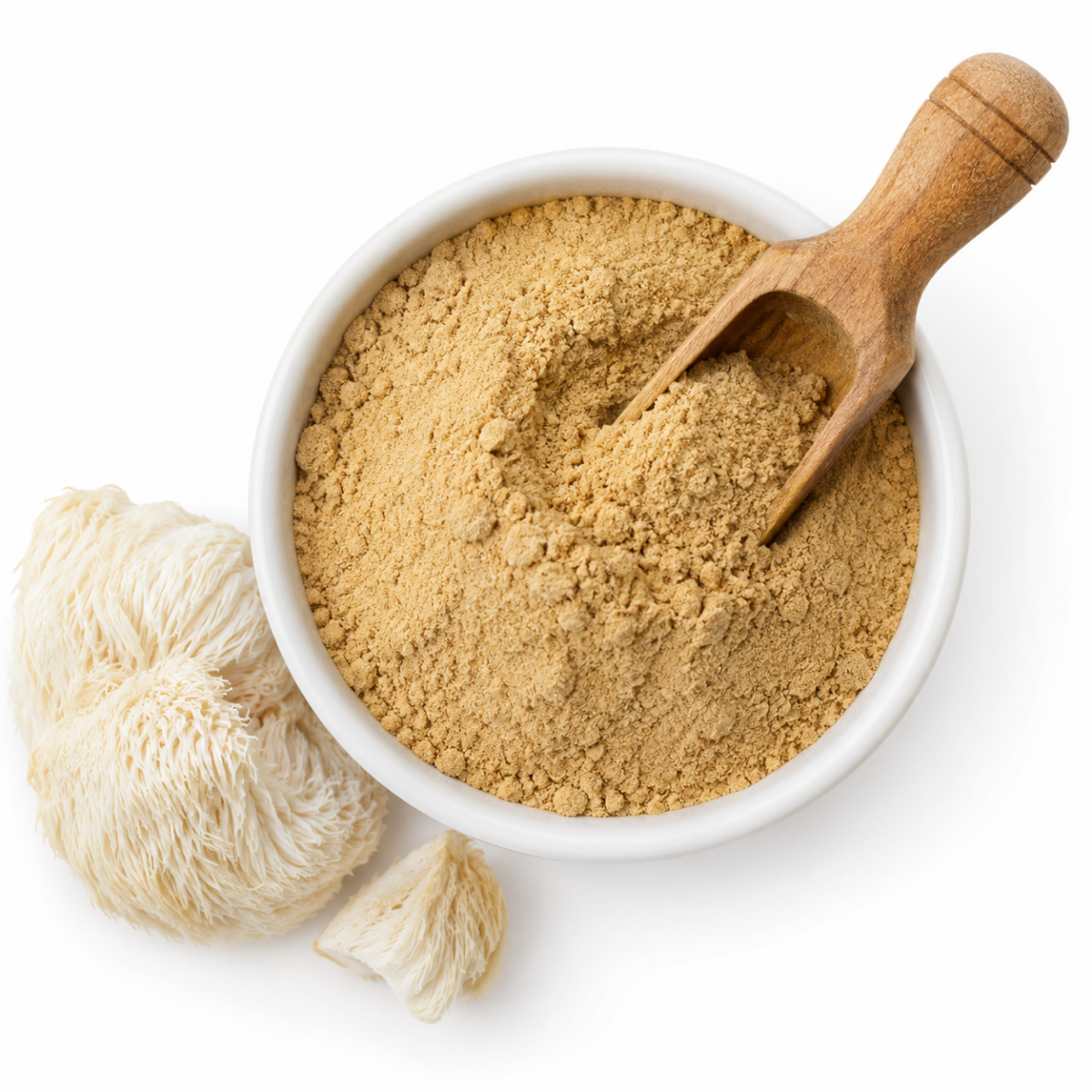 Lion's Mane mushroom extract powder in white bowl