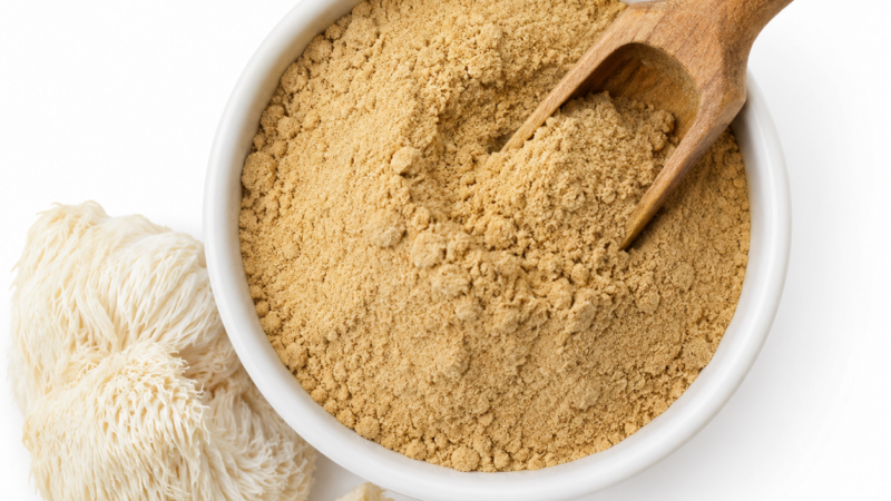 Lion's Mane mushroom extract powder in white bowl
